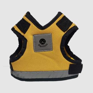 Amarilla con borde Negro